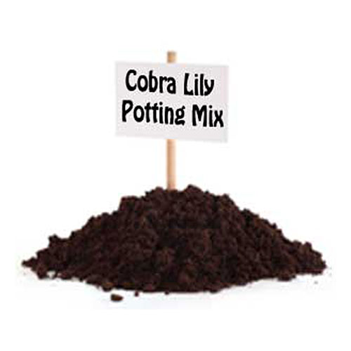 Cobra lily potting mix - Gallon bag